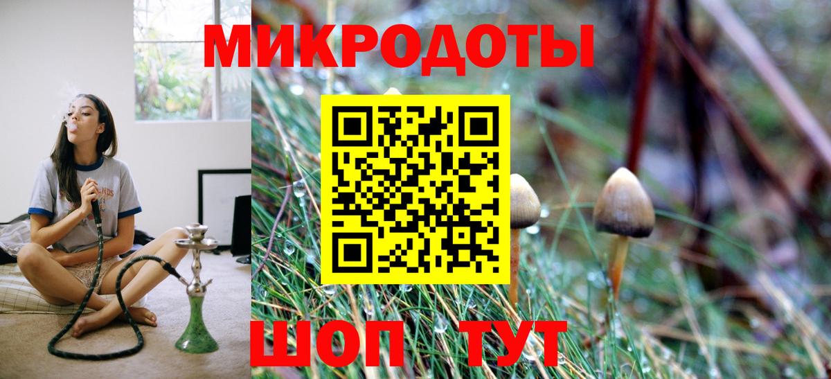 Галлюциногенные грибы GOLDEN TEACHER Всеволожск