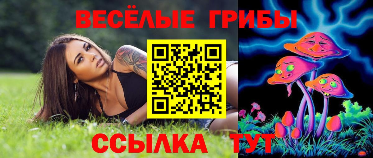 где купить наркоту  Вход с VPN  Всеволожск  Галлюциногенные грибы GOLDEN TEACHER  Галлюциногенные грибы Magic Shrooms 